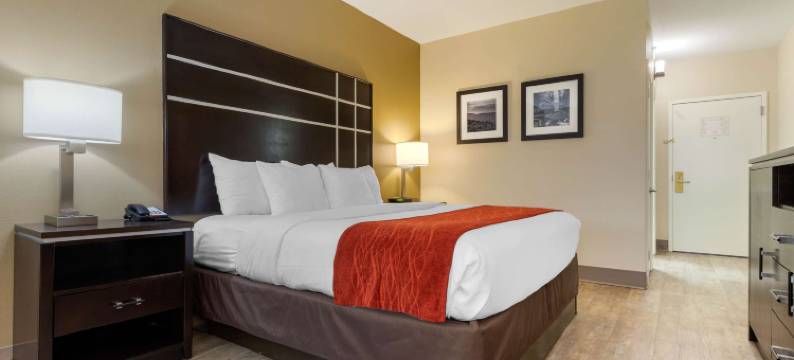 阿什维尔北部舒适酒店(Comfort Inn North of Asheville)图片