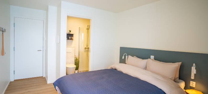 Attme 有(Attme Have)图片