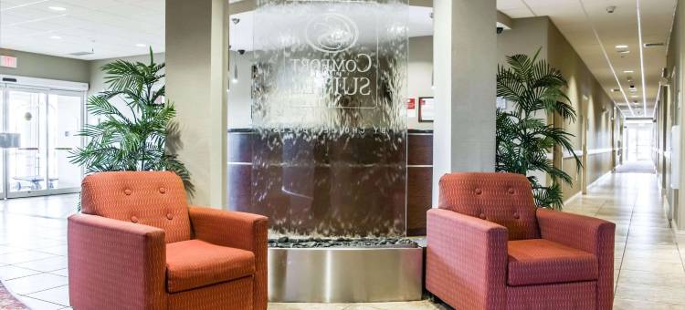 舒适套房酒店-棕榈湾墨尔本(Comfort Suites Palm Bay - Melbourne)图片