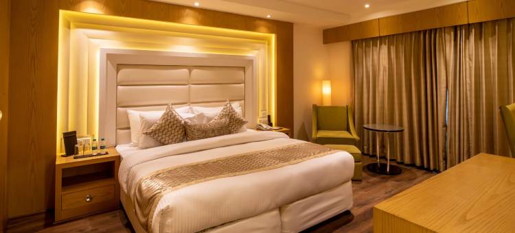 The Pristine酒店坎普尔(The Pristine Hotel Kanpur)图片