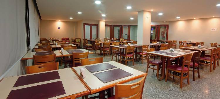 坎皮纳斯凤凰酒店(Fênix Hotel Campinas)图片