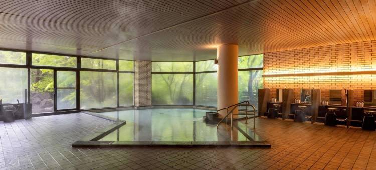 裏磐梯美居温泉度假酒店(Mercure Urabandai Resort & Spa)图片