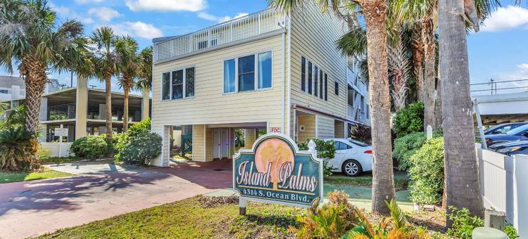 岛屿棕榈(Island palms)图片