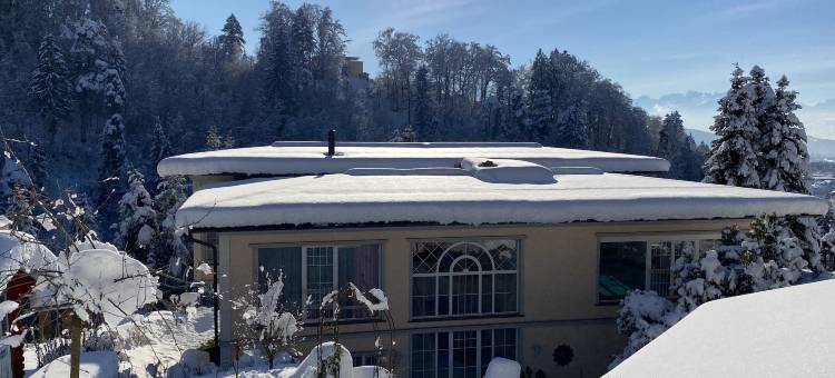 精品酒店贝格维拉(Boutiquehotel Bergvilla am Fuße der Alpen)图片