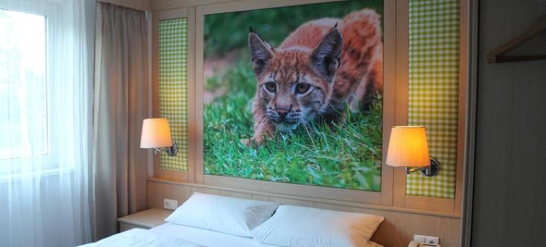 斯谷恩波力克瓦格内酒店(Wagners Hotel Schönblick, C&C Hotels Und Vertrieb Gmbh)图片