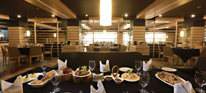 帕特里普特拉大陆酒店(Hotel Patliputra Continental)图片