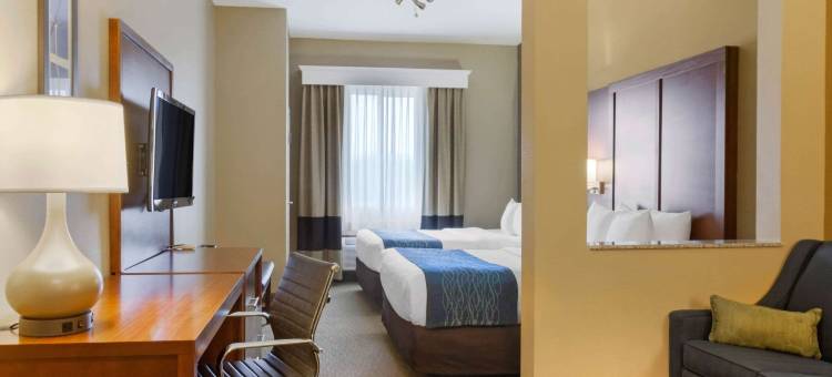阿马里洛东部舒适套房酒店(Comfort Inn & Suites Amarillo East)图片