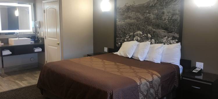 安大略速8酒店(Hotel Seville - Ontario Airport/Chino)图片