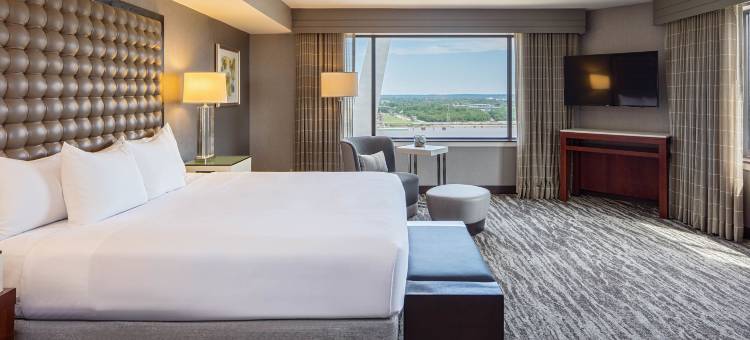 圣路易斯凯悦丽晶拱门酒店(Hyatt Regency St Louis at the Arch)图片