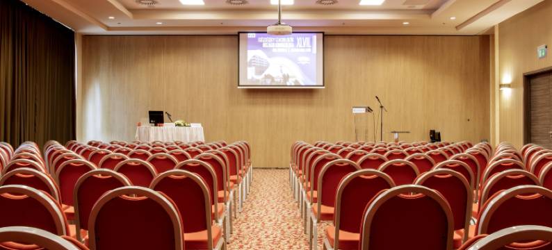 伊图公园大球场商务酒店(ETO Park Hotel Business & Stadium)图片