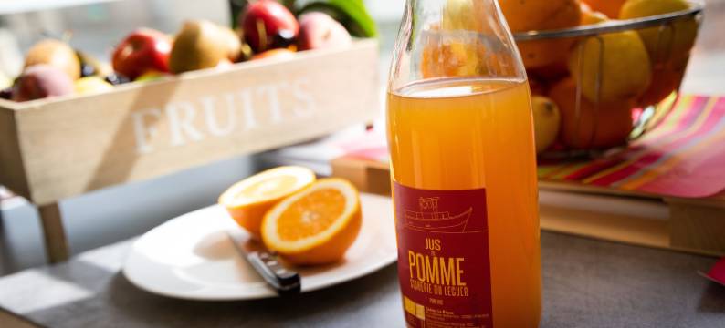 拉尼永市中心火车站布里特舒适酒店(Brit Hotel Confort Lannion Centre Gare)图片