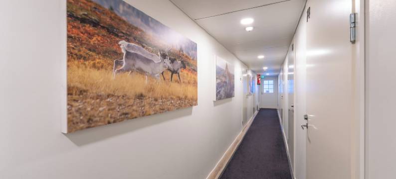 库克利萨利色尔卡旅店(Kuukkeli Saariselkä Inn)图片