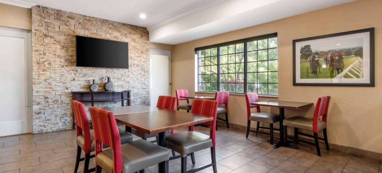 舒适套房酒店(Comfort Suites)图片