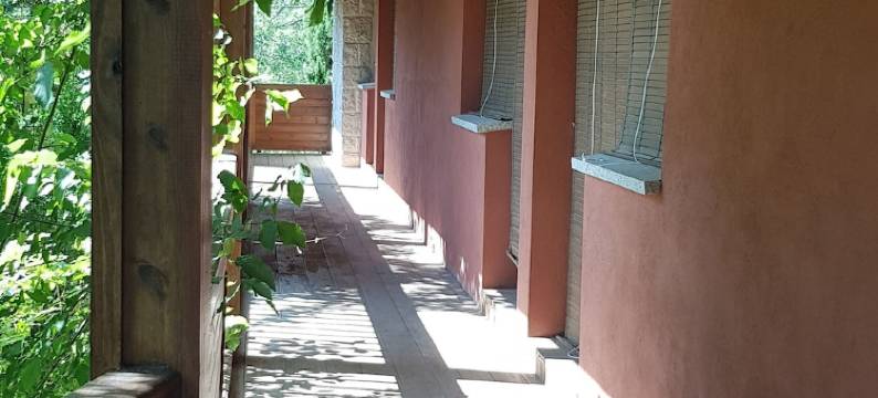 萨拉德乌尔酒店(Hotel Sara de Ur)图片