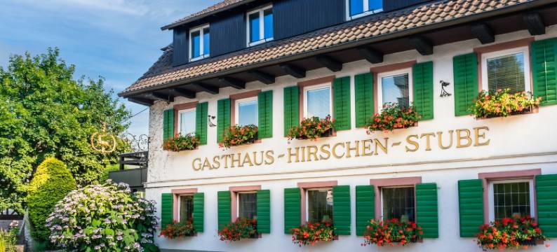 格赫里海尔斯臣斯图比旅馆(Gasthaus Hirschenstube & Gästehaus Gehri)图片