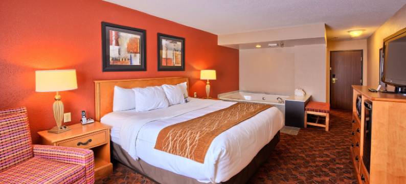 会议中心舒适酒店(Comfort Inn & Suites and Conference Center)图片