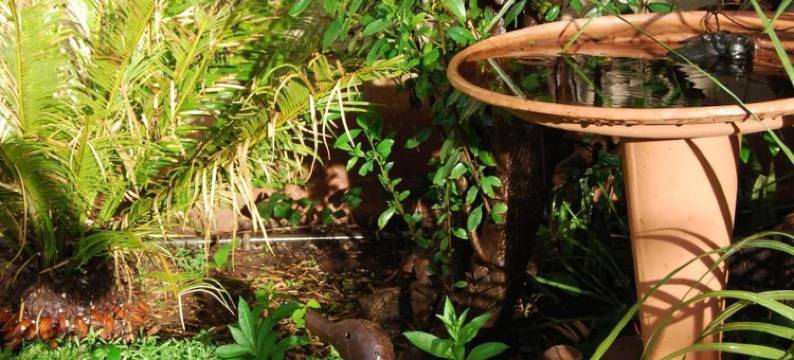 朝圣者喜悦酒店(Pilgrims Delight Guest House)图片