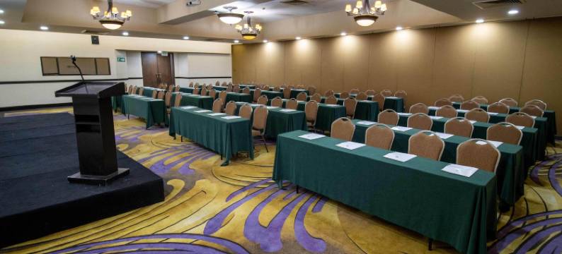 阿莱莎墨西卡利酒店(Hotel Araiza Mexicali)图片