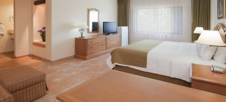 卡门城假日酒店(Holiday Inn CD. Del Carmen)图片