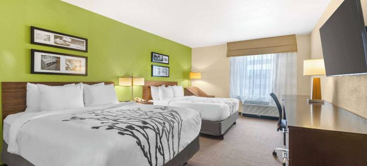 蓬塔戈尔达夏洛特港舒眠套房酒店(Sleep Inn & Suites Port Charlotte-Punta Gorda)图片
