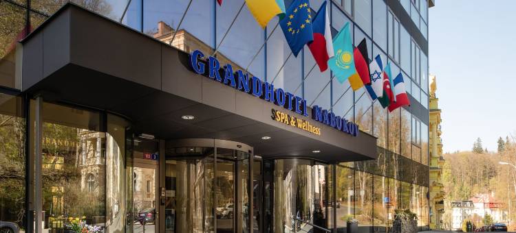纳伯科夫酒店(Grandhotel Nabokov)图片