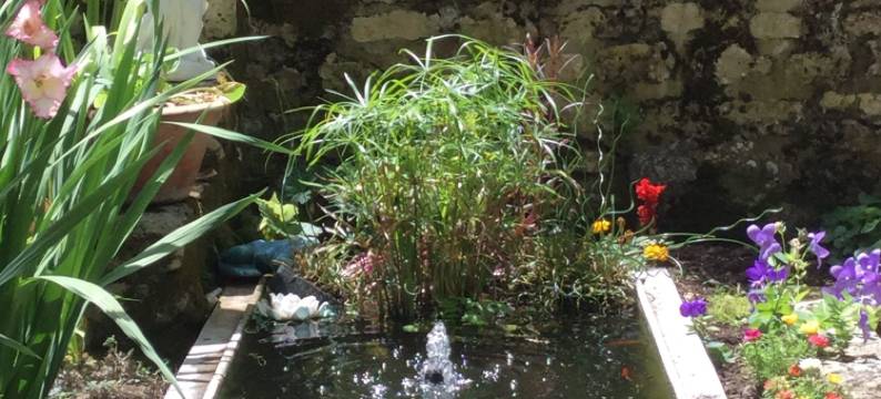 勒努瓦埃尔欧奈酒店(Les Noyers Aulnay)图片