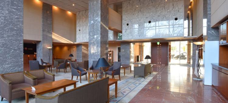 筑波日航都市酒店(Hotel JAL City Tsukuba)图片
