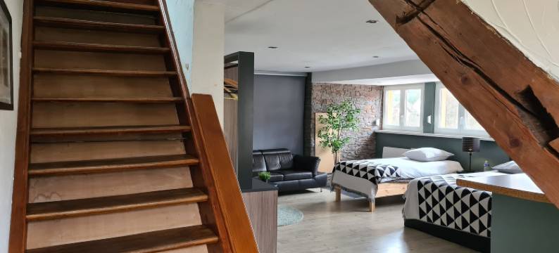 翁根霍夫酒店(Au Wingenerhof)图片