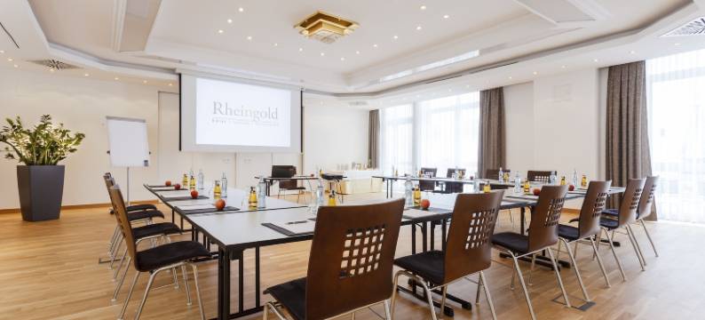 莱茵黄金酒店(Hotel Rheingold)图片