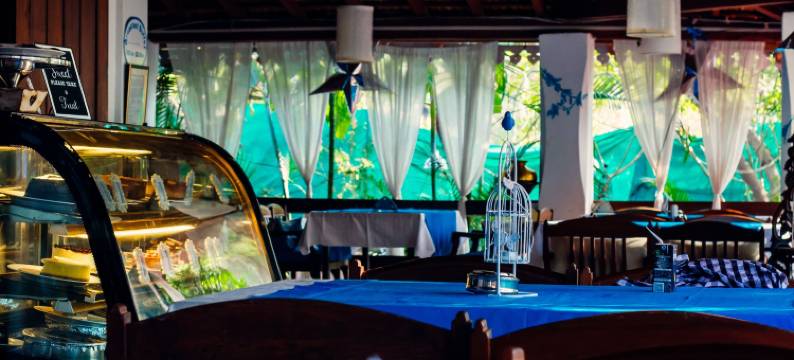 罗望子安朱纳果阿精品遗产酒店(The Tamarind Hotel)图片