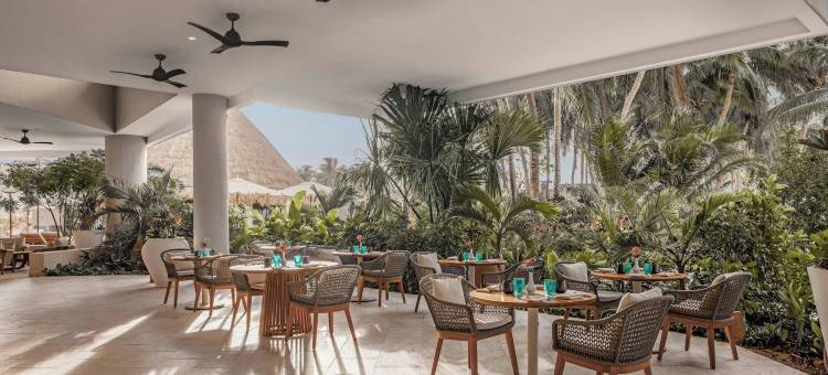 坎昆女人岛阿尔玛雷豪华精选度假酒店，成人全包式(Almare, a Luxury Collection Resort, Isla Mujeres Cancun, Adult All-Inclusive)图片