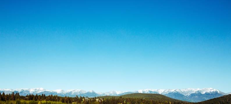 廷伯斯汽车旅馆(Timbers Motel)图片