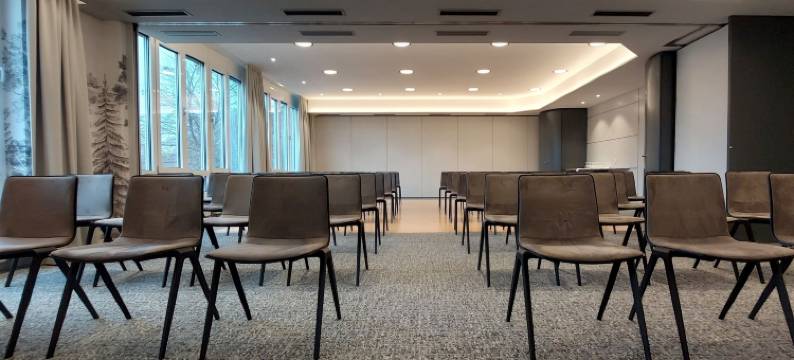 艾瑞克森酒店(Erikson Hotel)图片