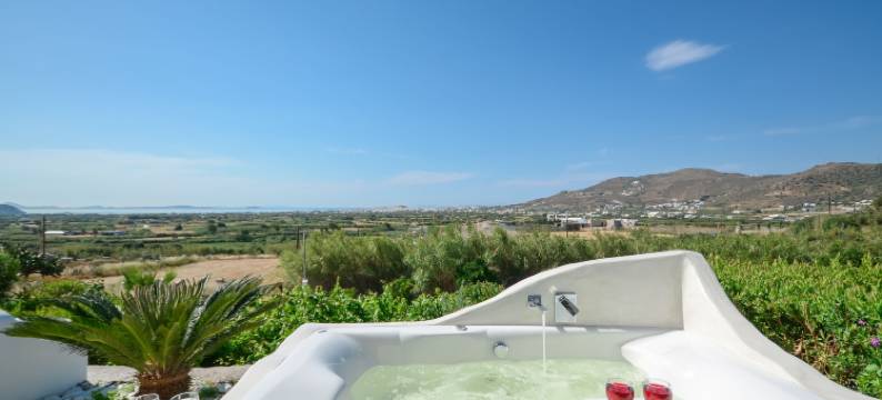 贝亚维斯塔别墅(Naxos Villa Bella Vista)图片