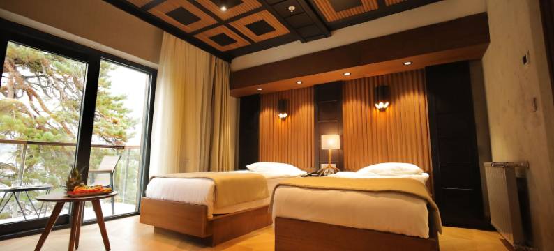 阿邦特科斯克奥特里酒店(Abant Kosk Oteli)图片