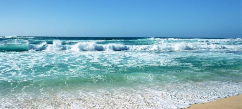 海滩汽车旅馆(Beach Lodge Motels)图片