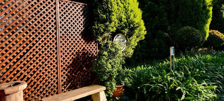 Road Lodge - 约翰内斯堡机场(Road Lodge JNB Airport)图片