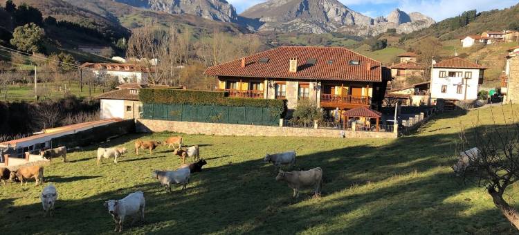 列瓦纳科卡尔旅馆(Posada El Corcal de Liébana)图片