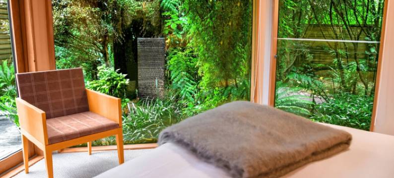 河桦树酒店(River Birches Lodge)图片