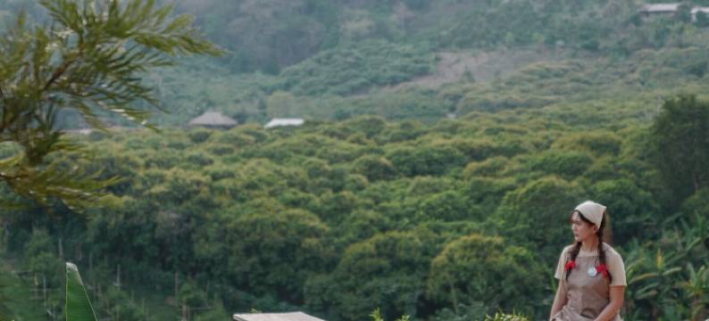 阿卡帕米O(Akha PhamiO)图片