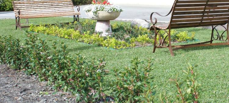 SureStay Hotel by Best Western the Clarence on Melville图片