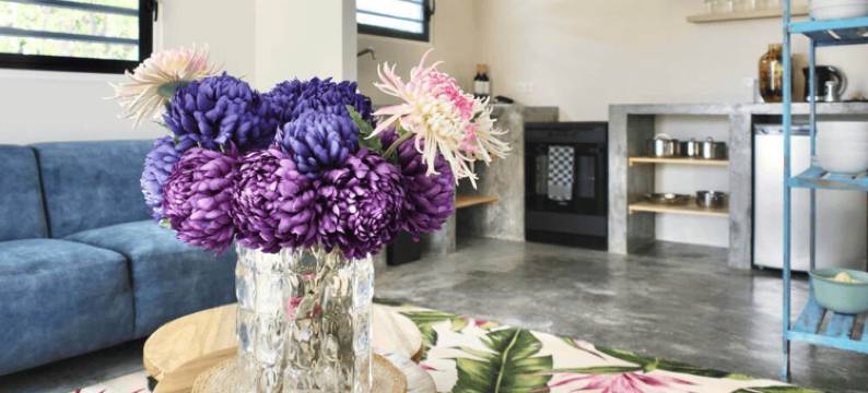 蓝色Bonaire度假村(Blue Bonaire by Boutique Bonaire Unique Resorts)图片