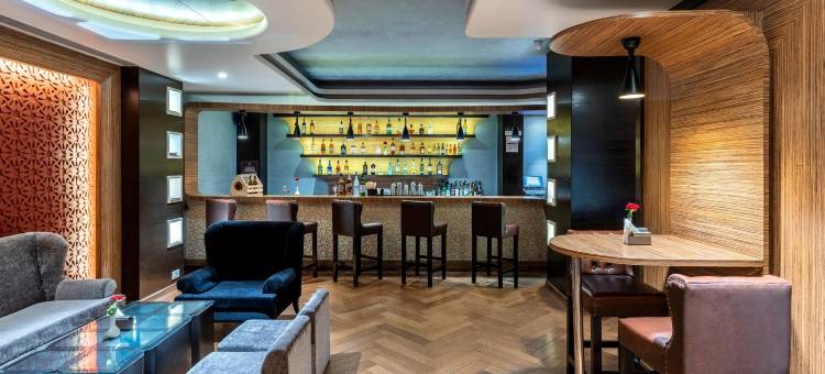 斯塔普拉万寿菊酒店(Hotel Marigold Jaipur)图片