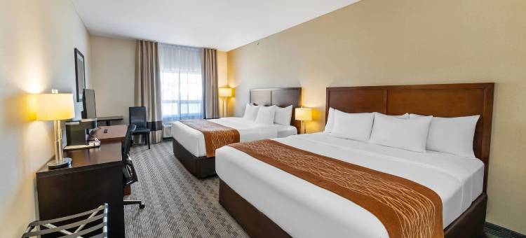 舒适酒店(Comfort Inn)图片