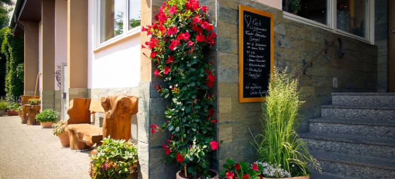 奥登瓦尔德布里克酒店(Hotel Odenwaldblick)图片