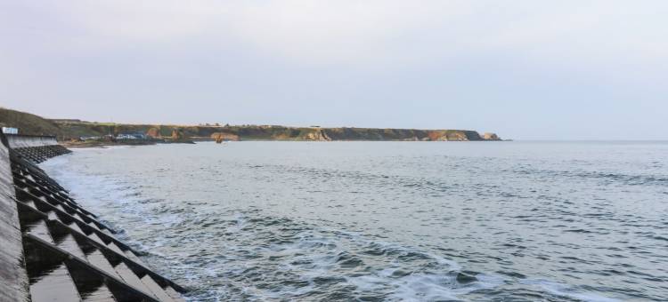 171 海滨小镇(171 Seatown)图片