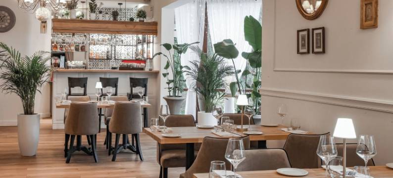 德沃尔康斯坦新酒店(Dwór Konstancin)图片