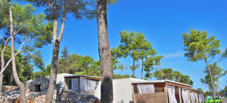 Boutique Camping Bunja精品露营地(Boutique Camping Bunja)图片