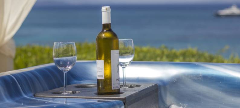 棕榈与温泉科孚别墅静居处(Palms and Spas Villas Retreat)图片