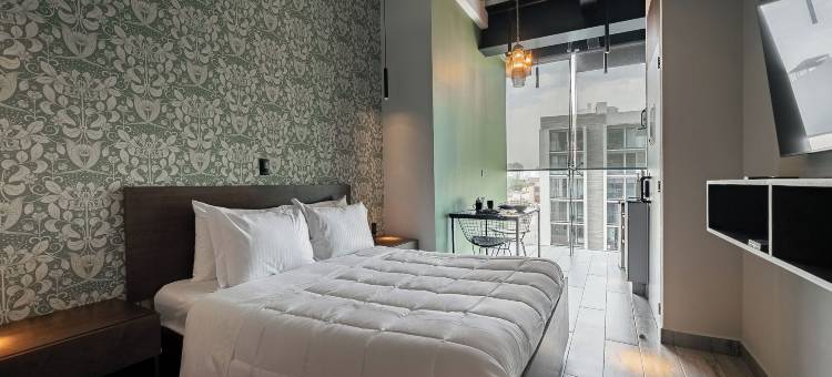 赫罗德先生的家(The Tropical Nest Womens Shared Hostel Room)图片